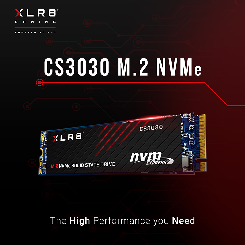 海外輸入 PNY M.2 SSD XLR8 CS3030 M280CS3030-4TB-RB 4TB