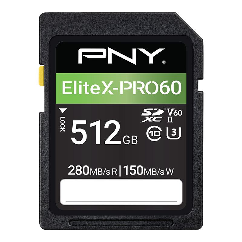 EliteX-PRO60 Class 10 U3 V60 UHS-II SD Flash Memory Card