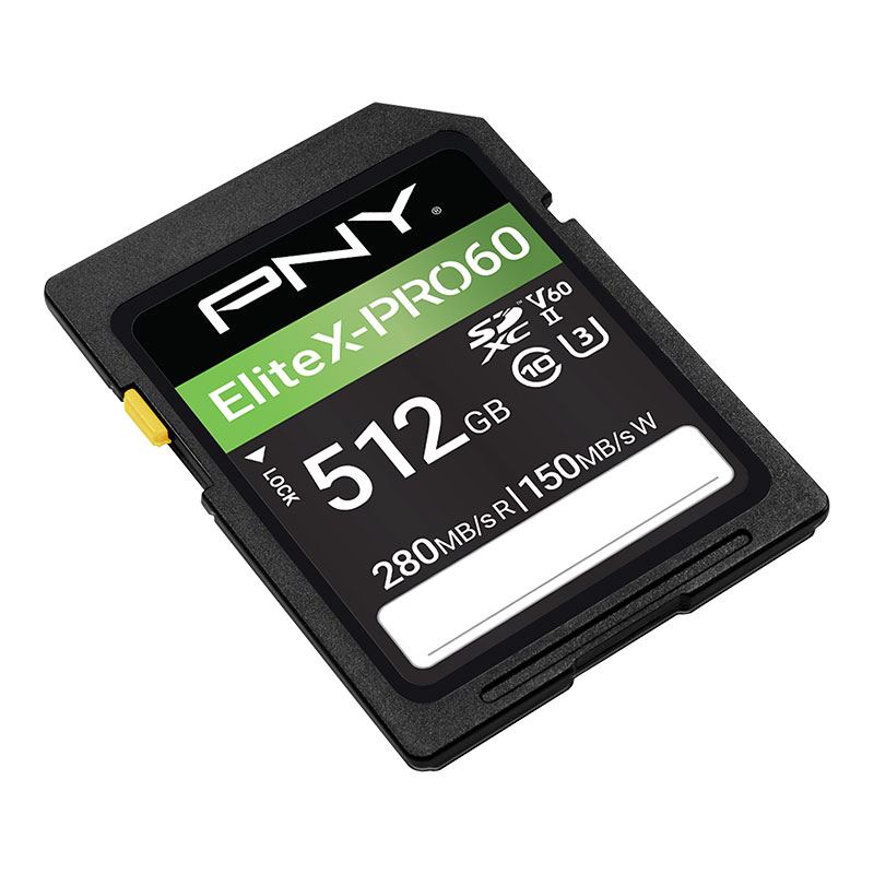 EliteX-PRO60 Class 10 U3 V60 UHS-II SD Flash Memory Card