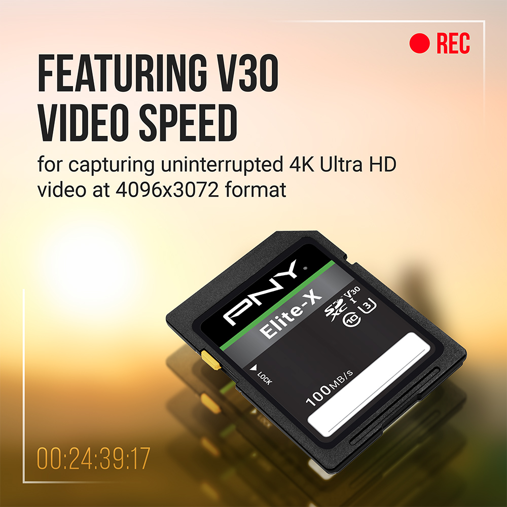 Full Sd Xxx Video - Elite-X Class 10 U3 V30 SDXC Flash Memory Card