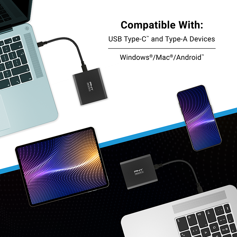 PNY Pro Elite SSD USB3.1 - 250Go / Argent - PSD0CS2060S-250-RB