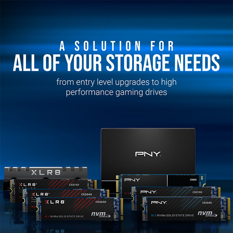 PNY 480GB SSD 2 Pack CS900 2.5 Sata III Internal Solid State Drive SSD  (SSD7CS900-480-RB) Bundle with (2) Everything But Stromboli SSD/HDD  Enclosures
